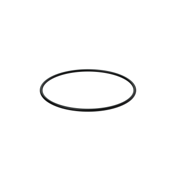 O-Ring 925093